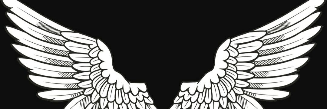 _shitinoer's profile banner image