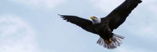 Fu_rn_eagle's profile banner image
