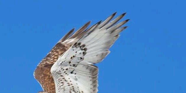 simonkoech6's profile banner image