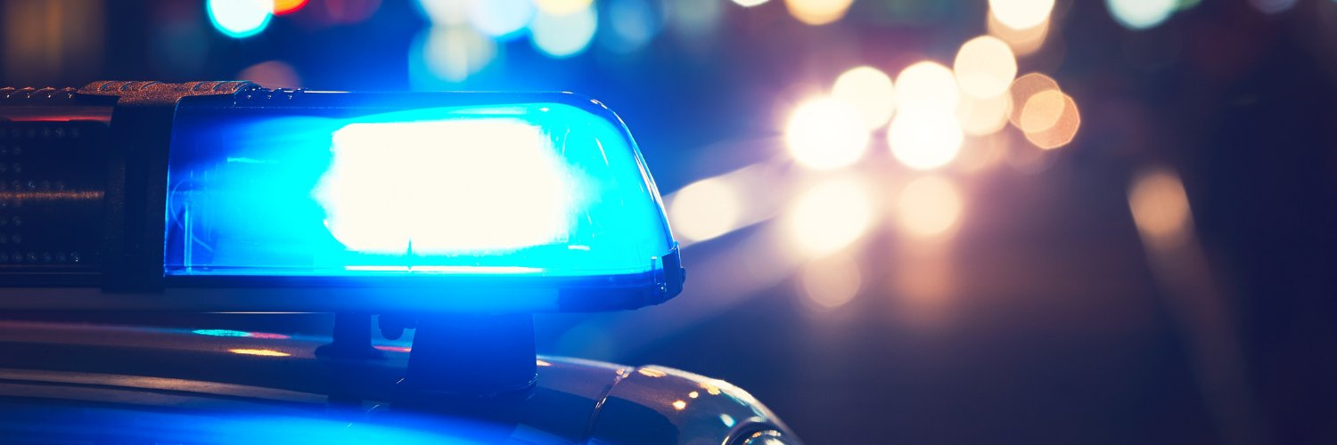 Sydenham Policing Team banner