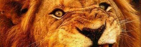 Terna71's profile banner image