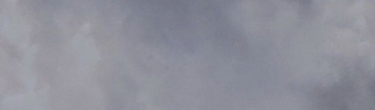 frealina's profile banner image