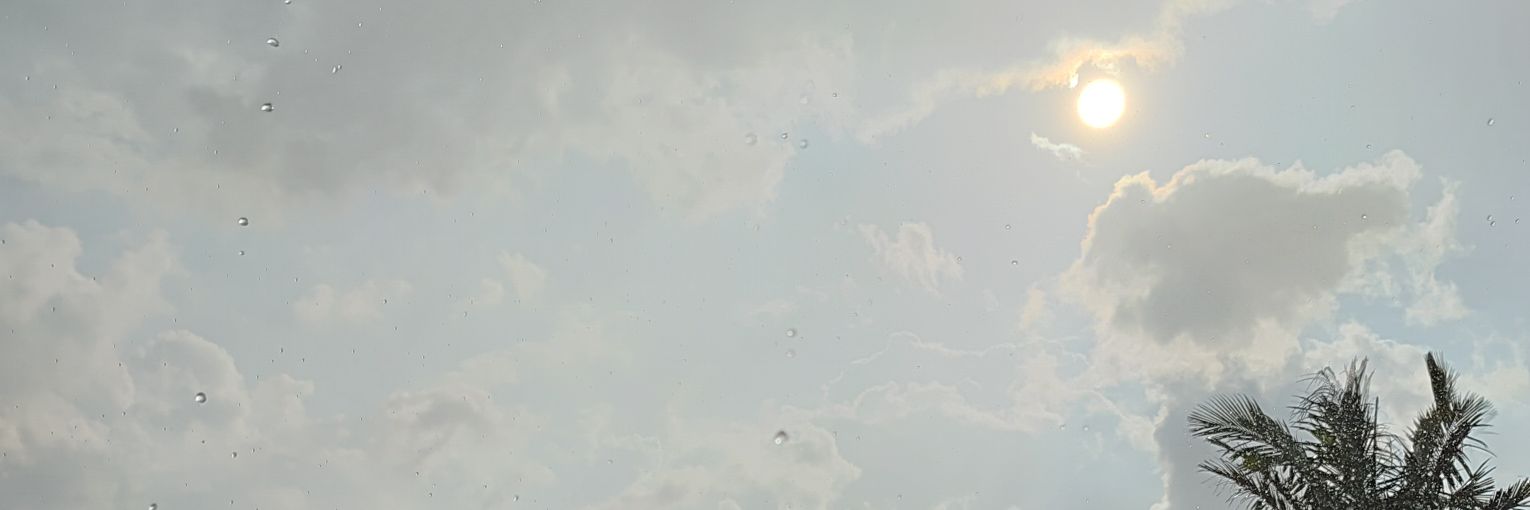 Cαɱιʅσ A. Sυáɾҽȥ R. banner