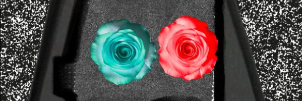 capospen's profile banner image