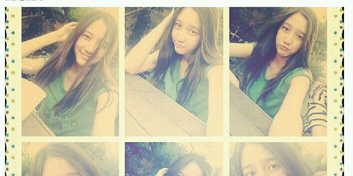 wolf_danee's profile banner image