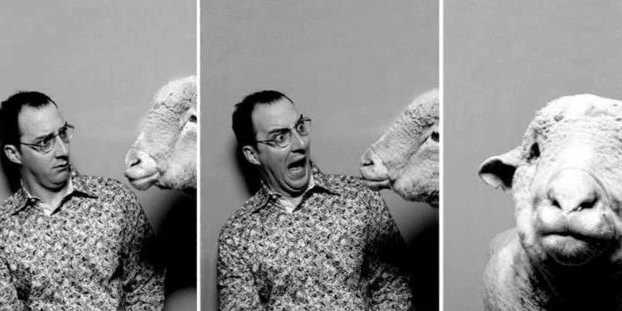 Roxy Hendrickson banner