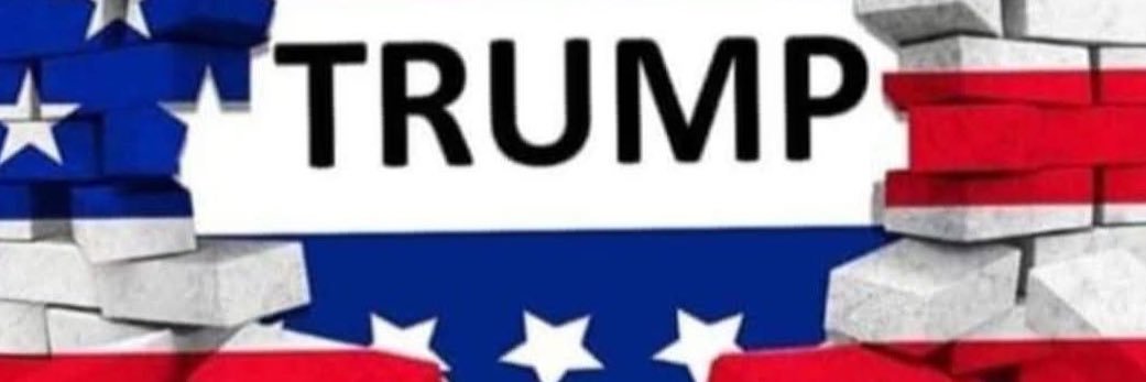 Steph Trump Girl 💎's banner