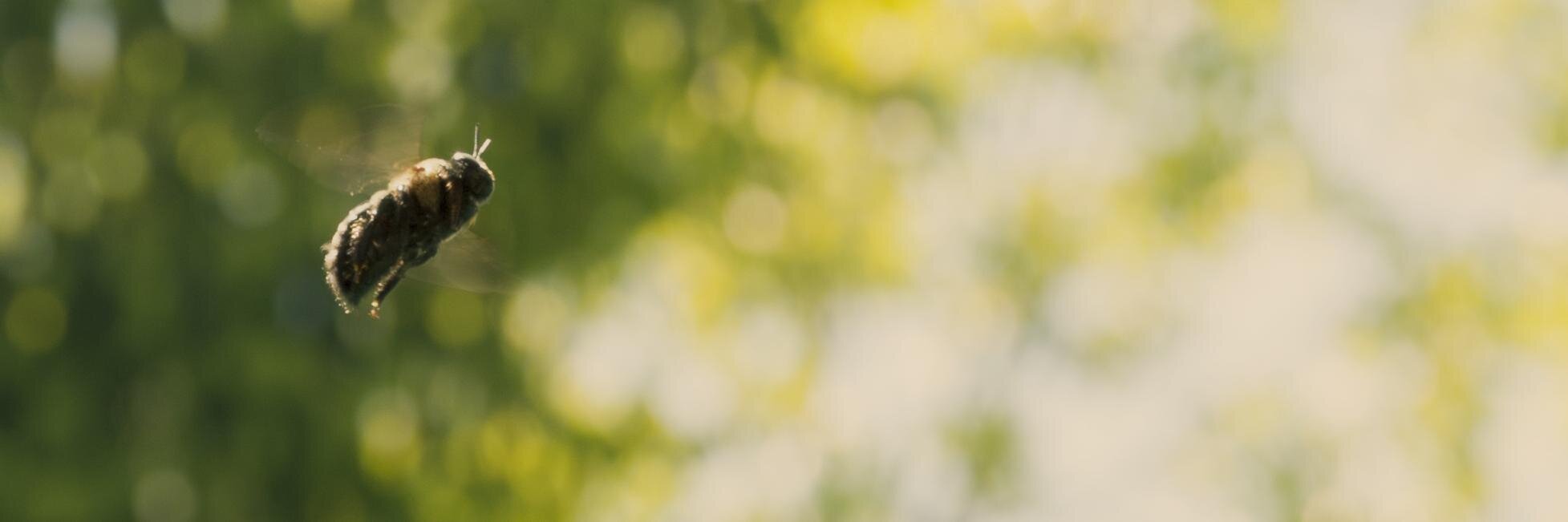 toadflesh's profile banner image