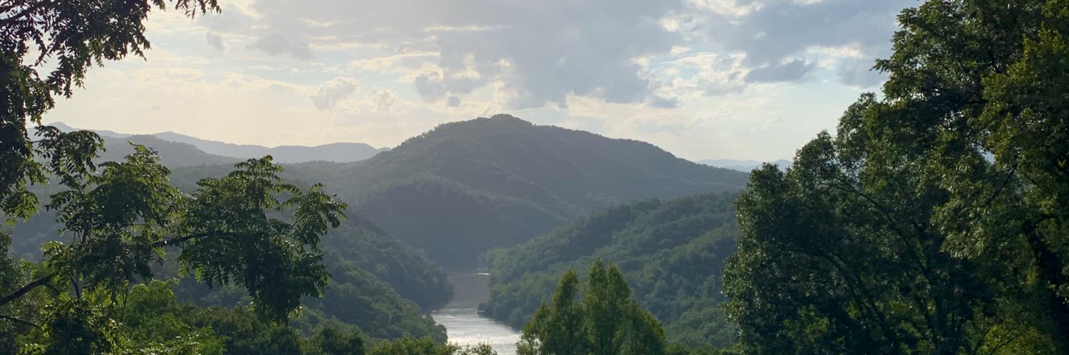 LilMissSunshine banner