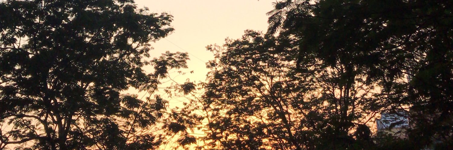 Priya1396's profile banner image