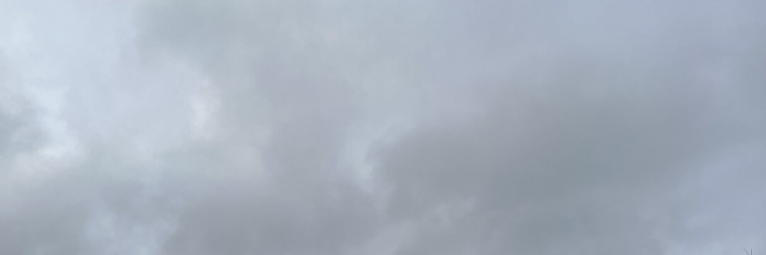 julia banner