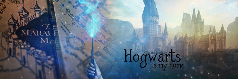 SLLowely's profile banner image