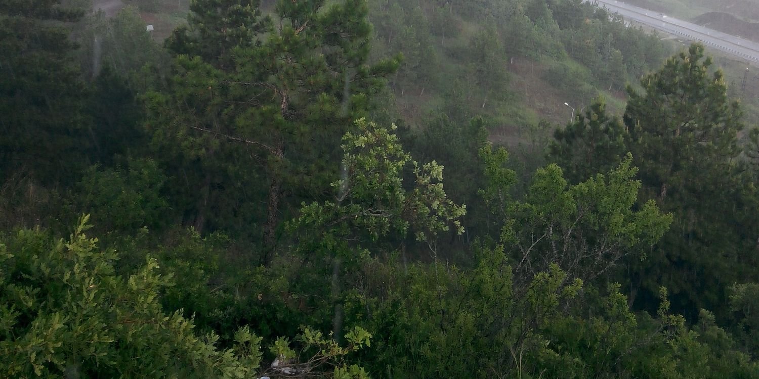 arya1453's profile banner image