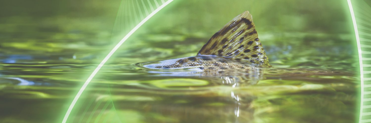 MSD Animal Health Aqua - EURAM banner