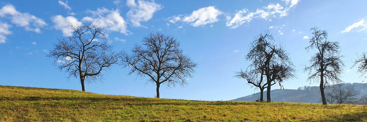 Michael Rowan banner