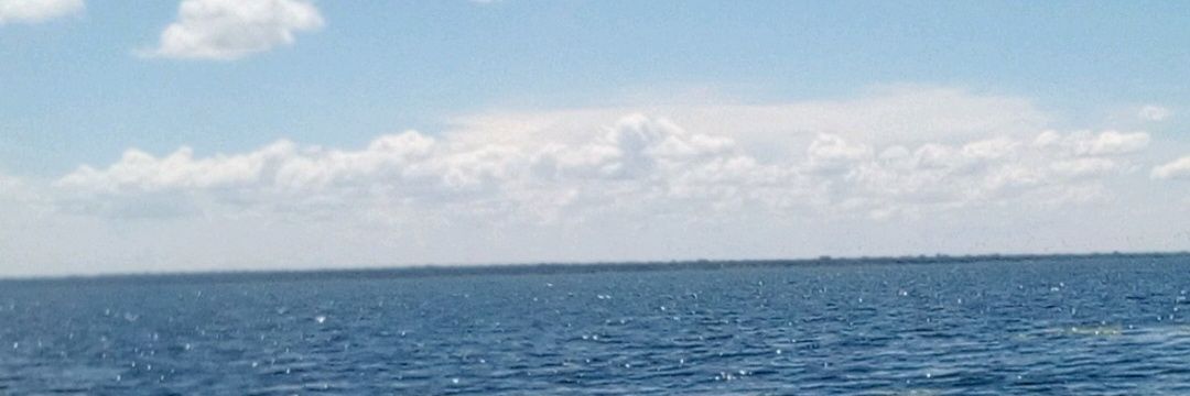 wambuzijulius's profile banner image