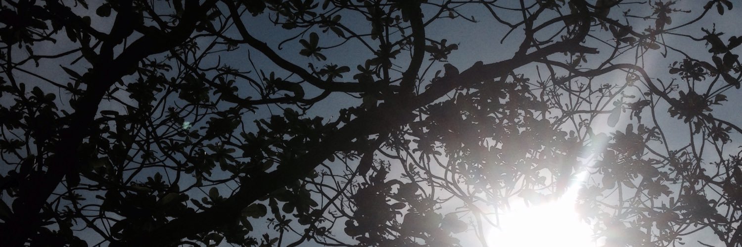cthxfav's profile banner image