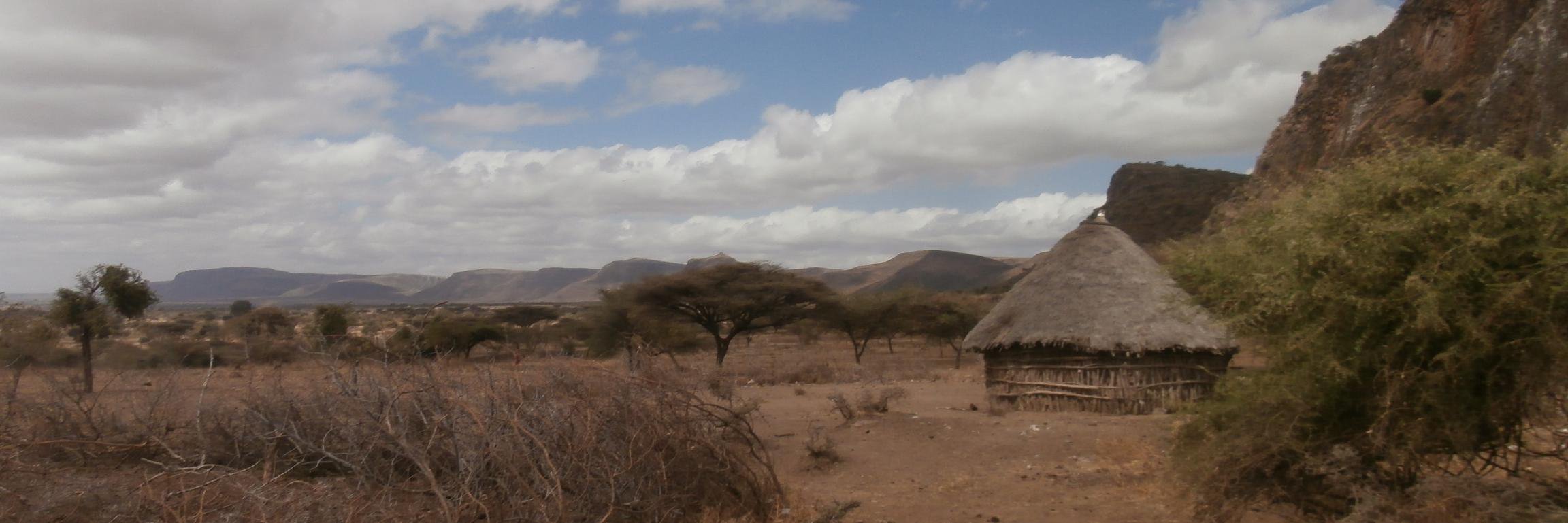 Jonathan Hunt banner