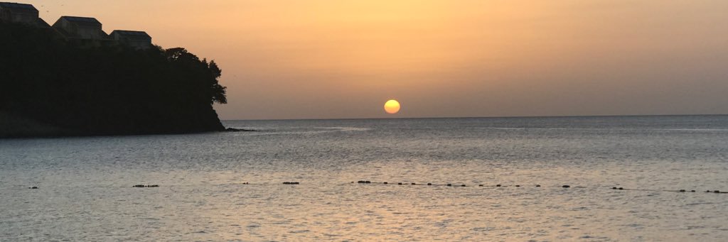 Kallen Carlson banner