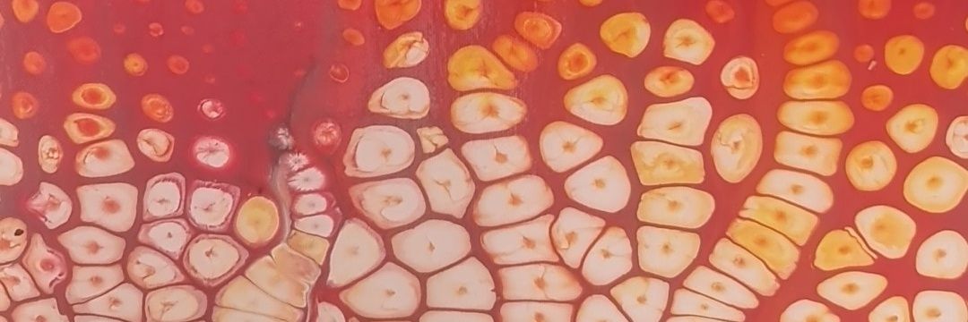 Dr Roheet Rao banner