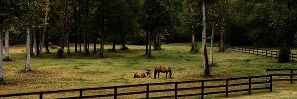 lauracasey3 Profile Banner