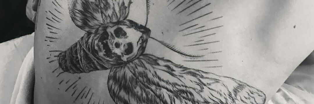 zanderoficial's profile banner image