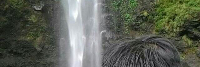 irwan1308's profile banner image