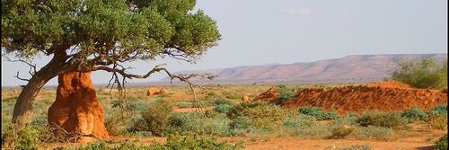 HeendOmar's profile banner image