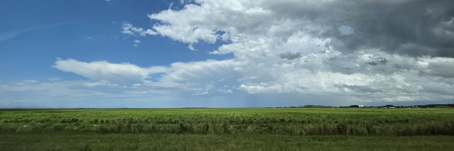 Ray Rodriguez banner