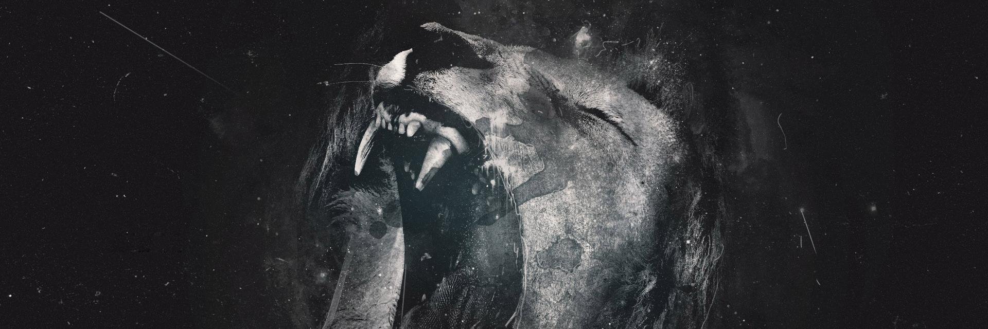 LionMusse's profile banner image