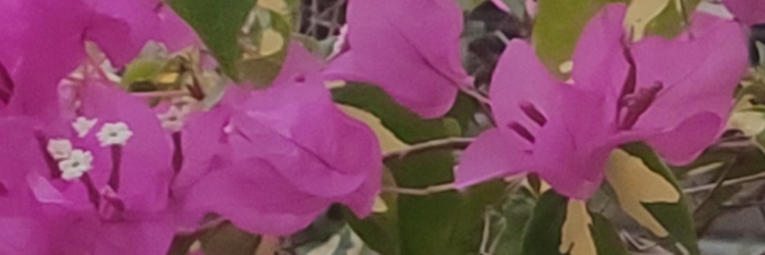 UpmanyuManish's profile banner image