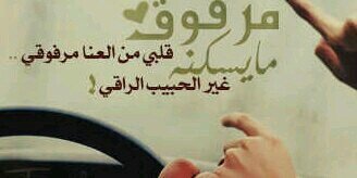 S3eedSAA's profile banner image