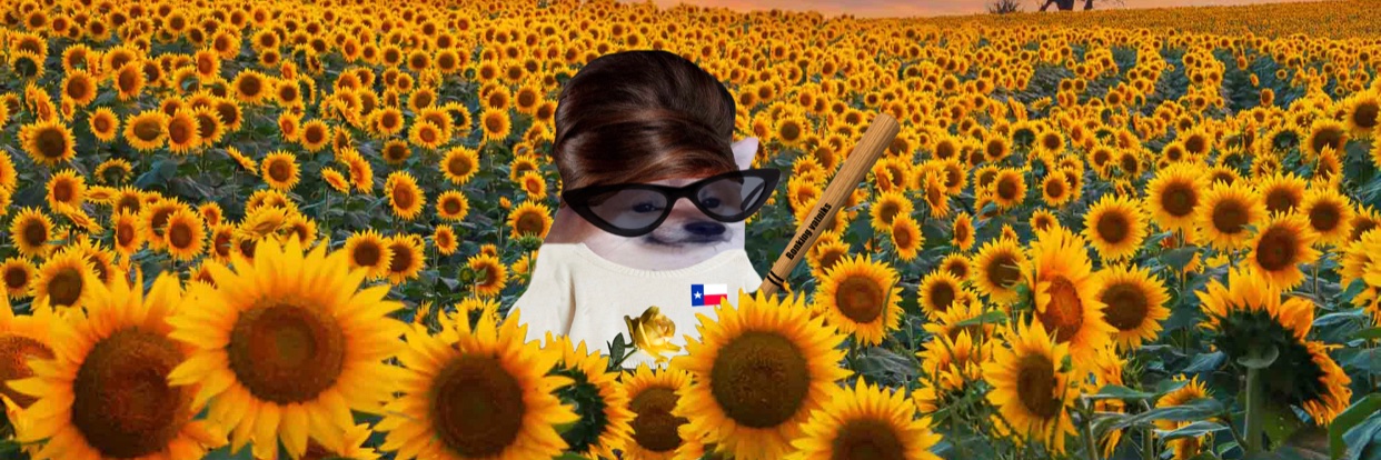 Freida Fella 🇺🇸❤️🇺🇦🌻 banner