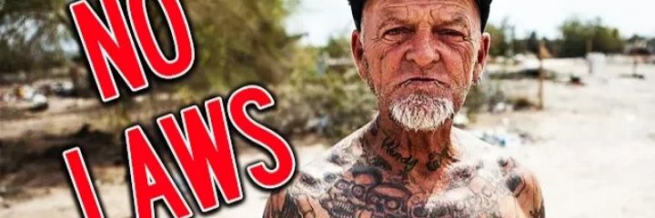 AliceWoolBrains's profile banner image