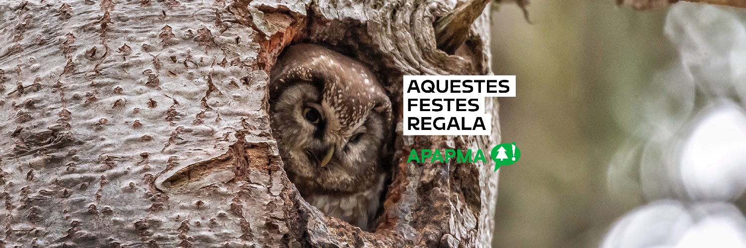 APAPMA Andorra banner