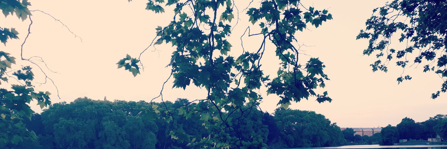 Bo1Myriam's profile banner image