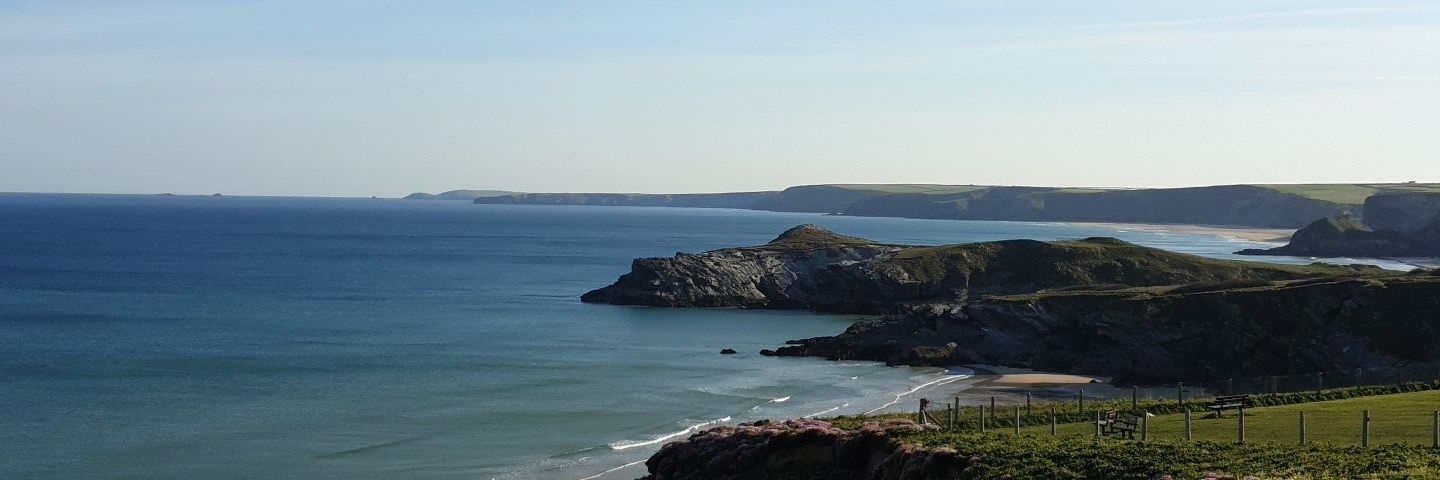 BizEd Projects CIC banner