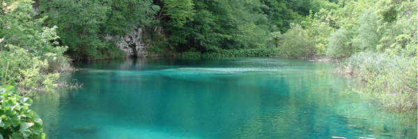 RomanJancic Profile Banner