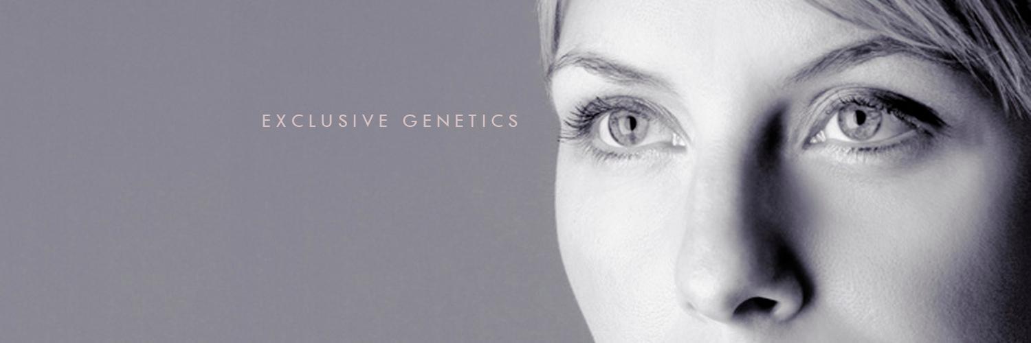 Genoxage's profile banner image