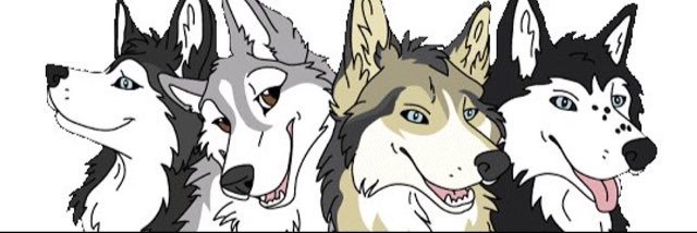 DogLover303's profile banner image
