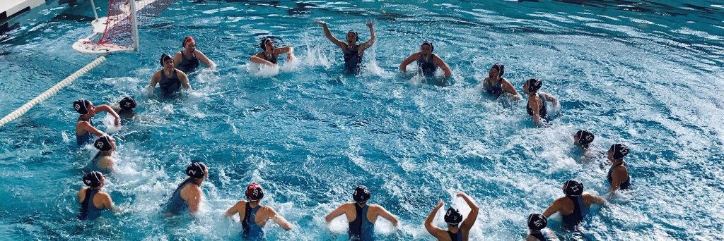 ProspectPolo's profile banner image