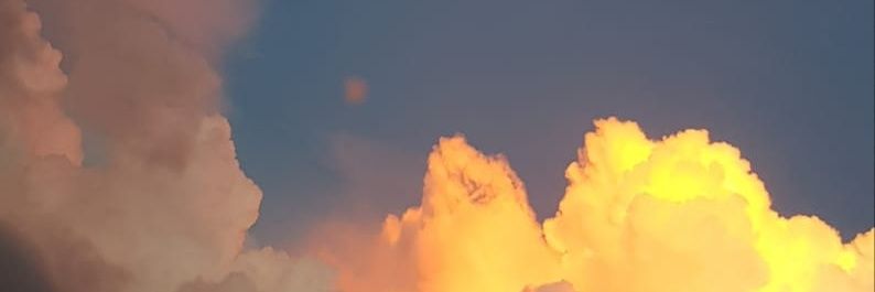 ozmamolina's profile banner image
