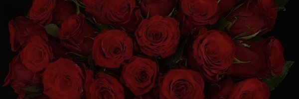 suukalia2 Profile Banner