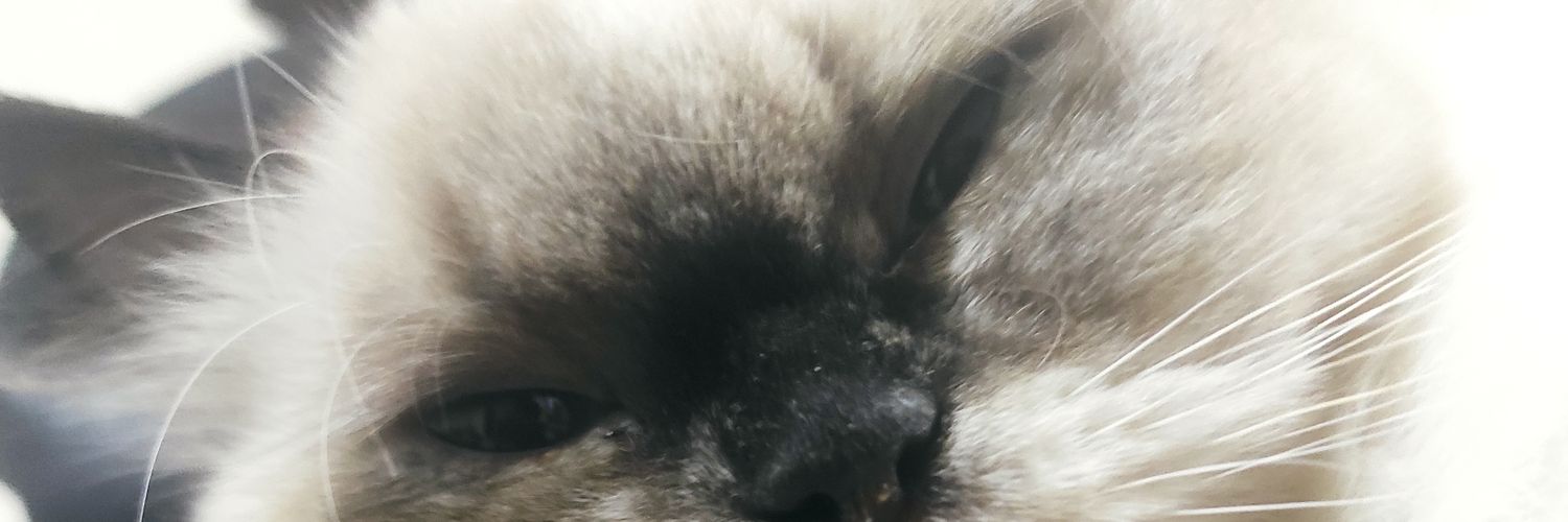 titilara85's profile banner image
