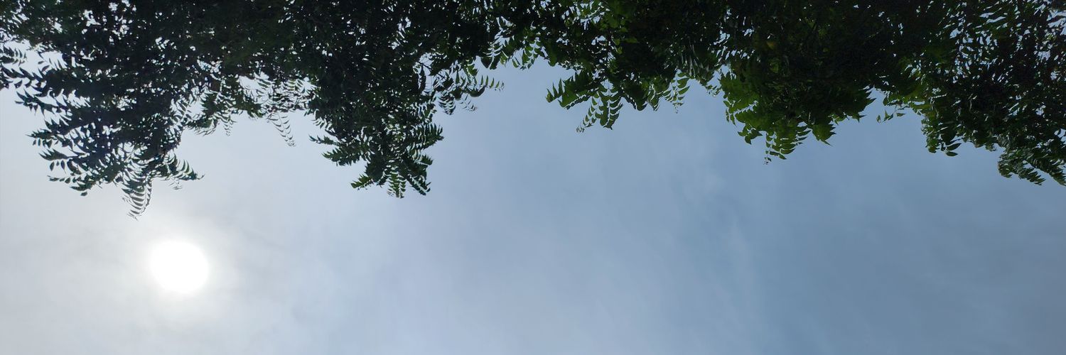 pookpik_v's profile banner image