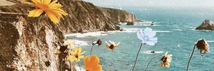 DulceMunoz7's profile banner image