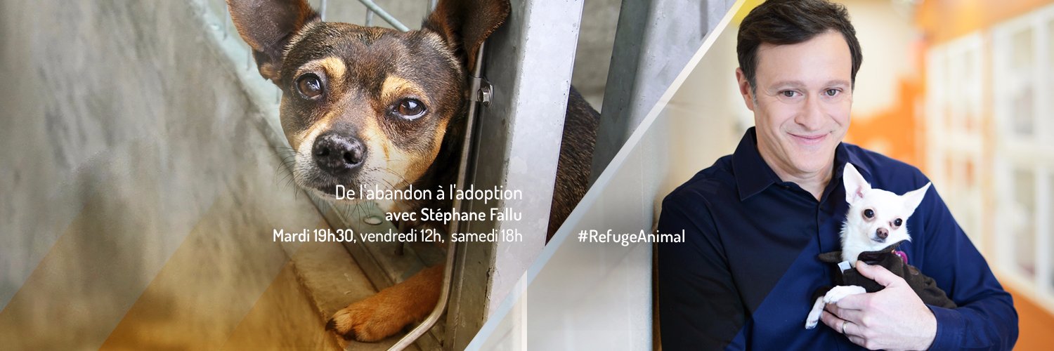 refugeanimal's profile banner image