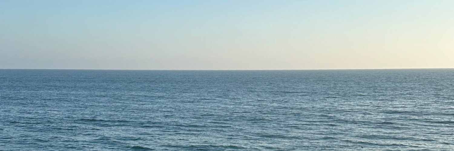 tishansanchez's profile banner image