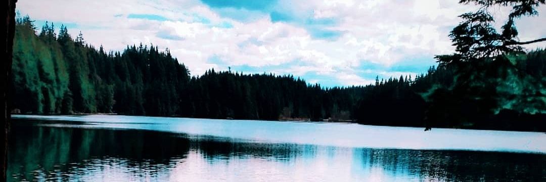 EvaRuschitzko's profile banner image