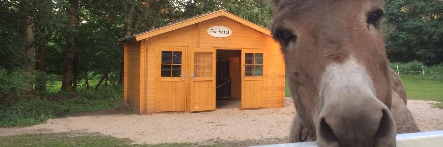 Michael Reinhard banner